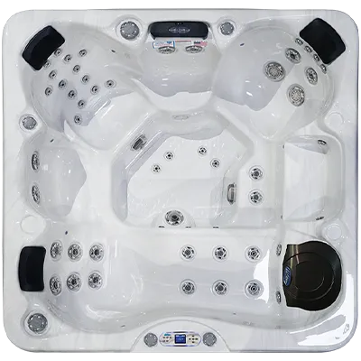 Avalon EC-849L hot tubs for sale in Martinsburg