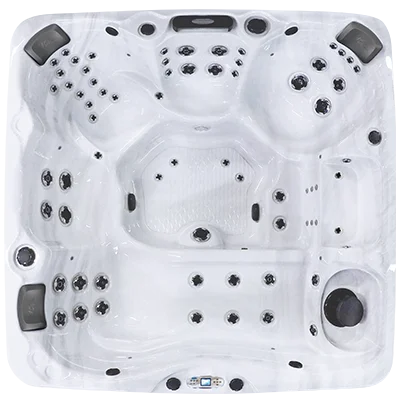 Avalon EC-867L hot tubs for sale in Martinsburg